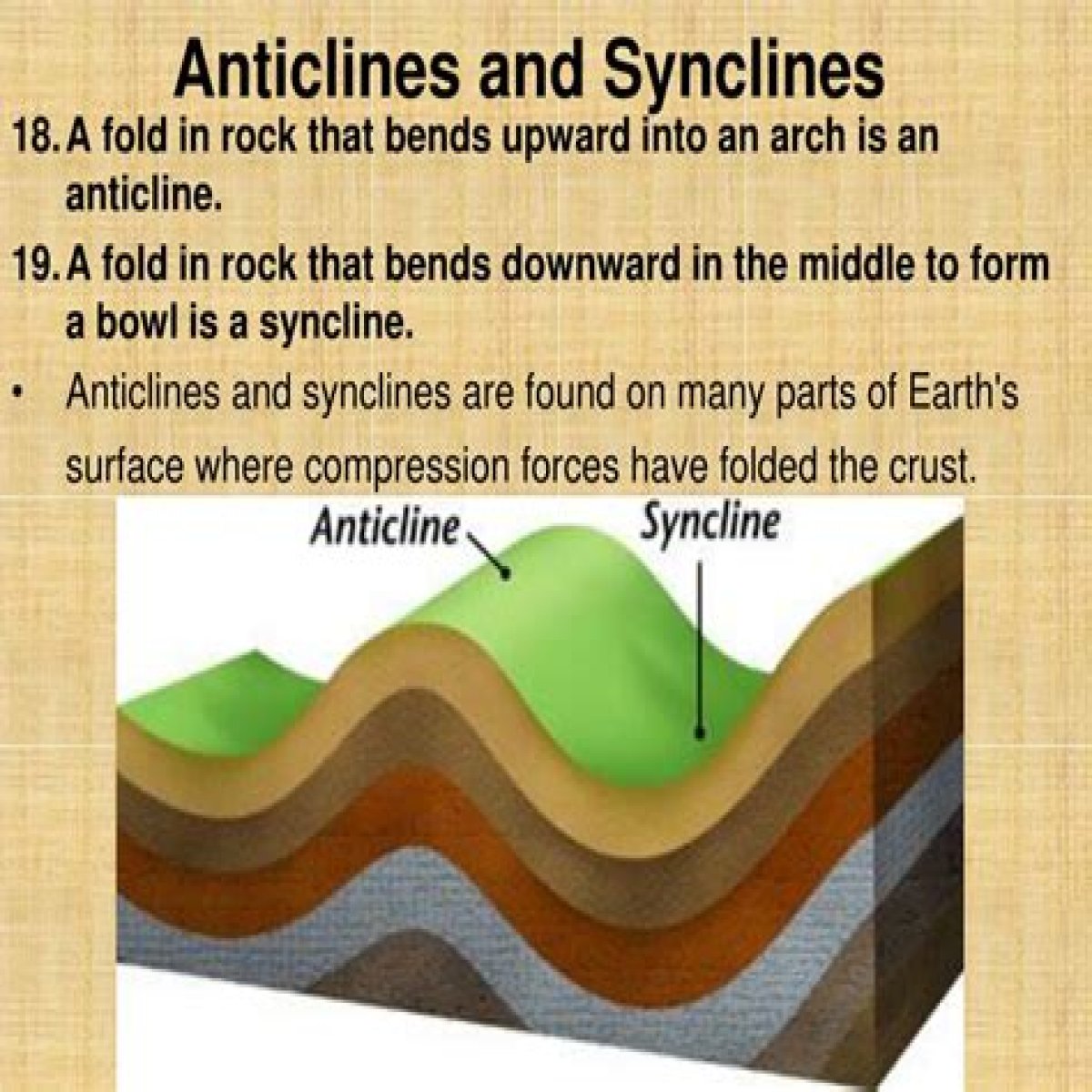 What is anticline and syncline?